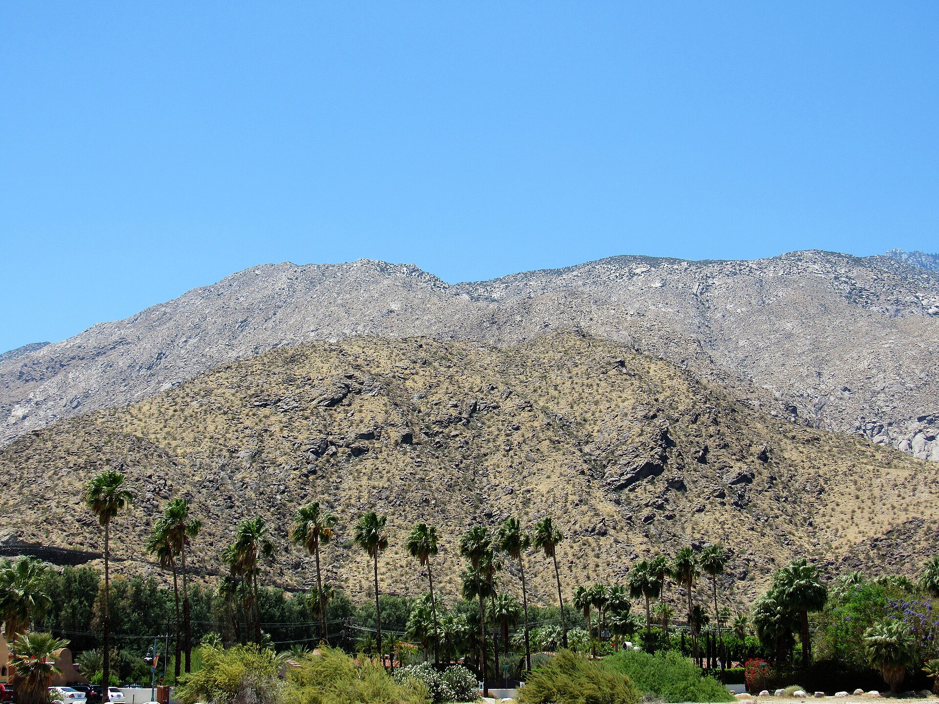 The San Jacinto Mountains rising above Palm Springs