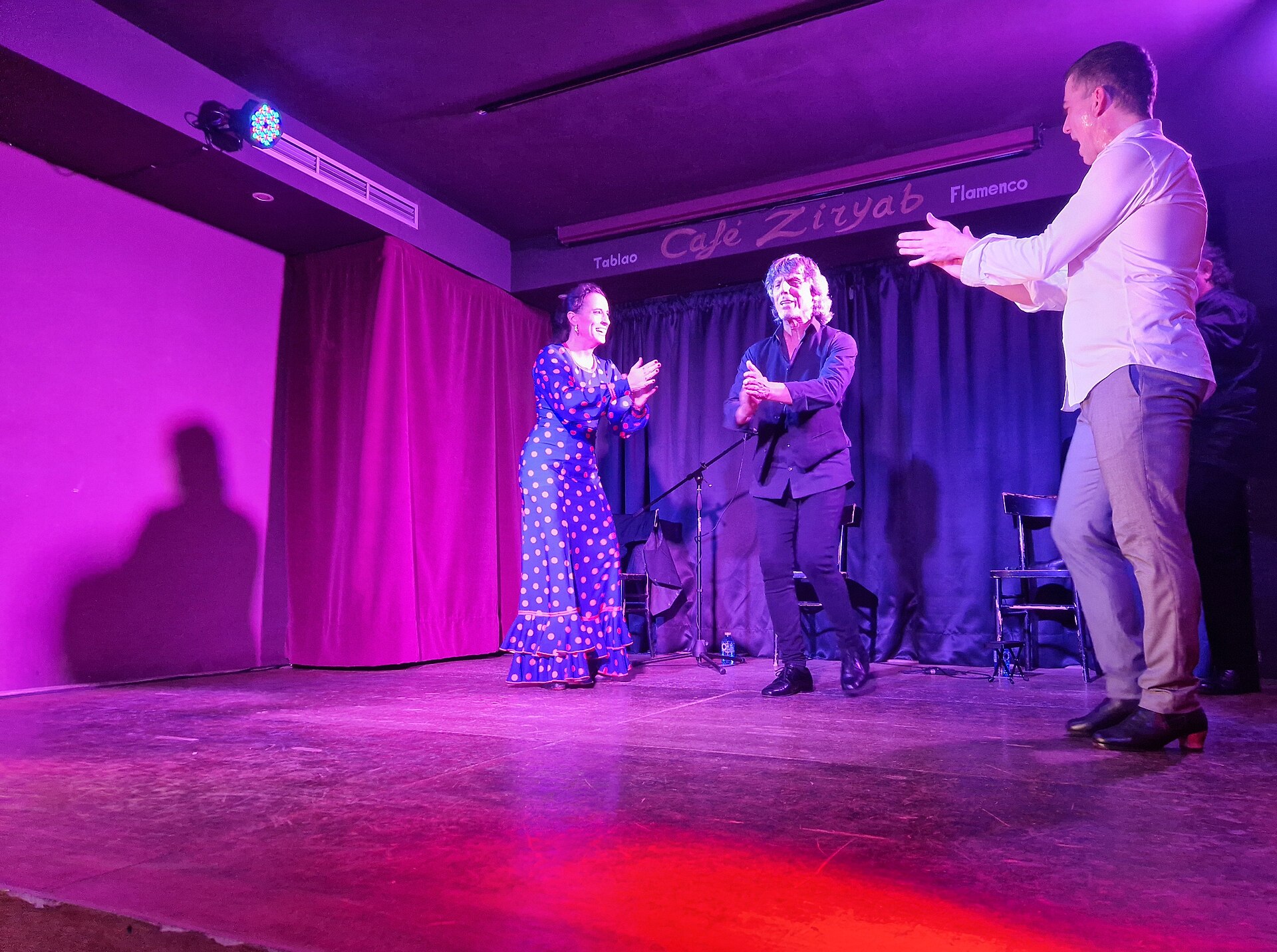 Flamenco performers clapping during a show in Madrid